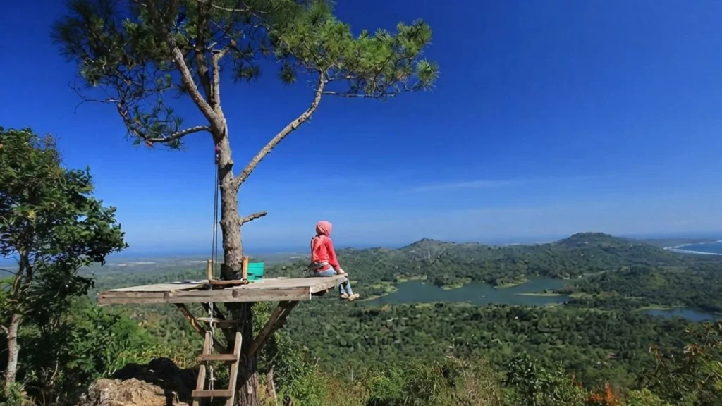 Visitor standing on Kalibiru National Park's tree platform overlooking Sermo Reservoir